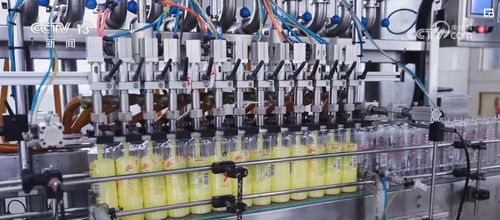 透過數據看變化，雙11購物熱彰顯消費市場活力與電子商務服務提升