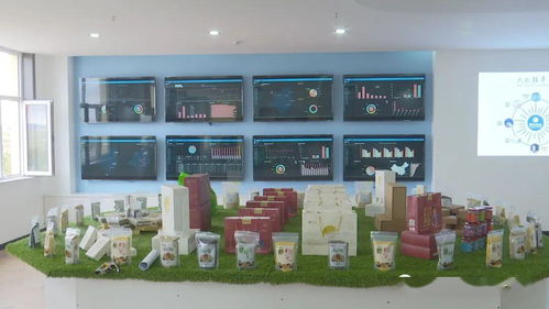 錫林郭勒盟千里草原風景大道阿巴嘎驛站暨電子商務公共服務中心啟用 融合旅游與電商新篇章