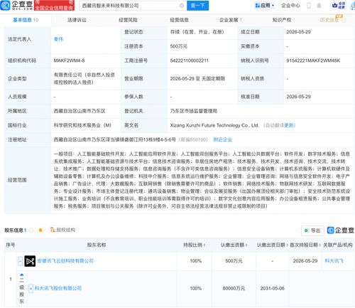 科大訊飛在西藏布局 新公司含多項(xiàng)AI業(yè)務(wù)，人工智能應(yīng)用迎來區(qū)域新范例